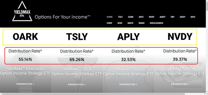 YieldMax ETFs – Options for Your Income - Google Chrome 03_09_2023 21_18_43