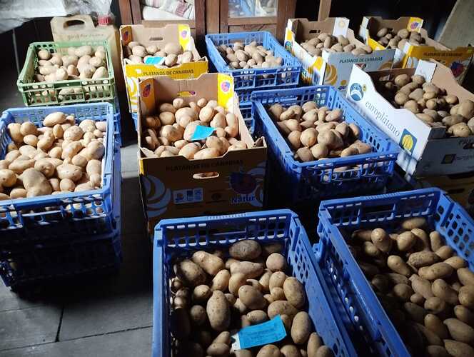 patatas2