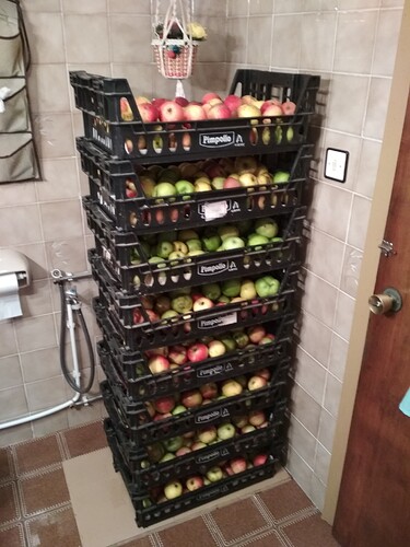 manzanas