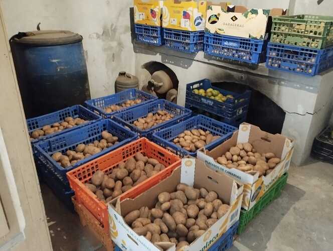 patatas1