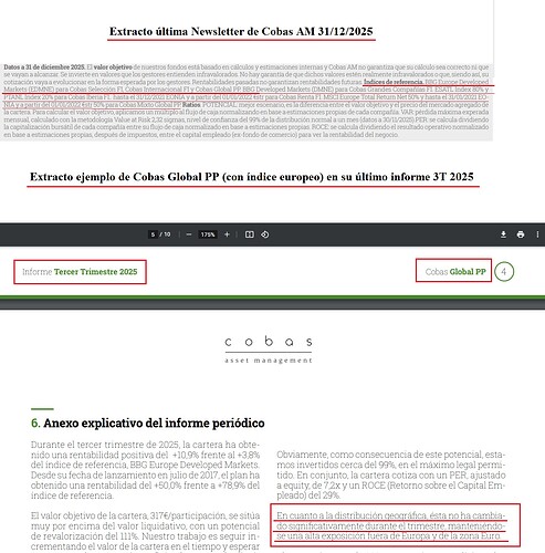 Ejemplo Cobas indices referencia