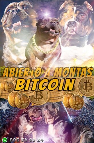 bitmontas