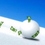 EloySnowball